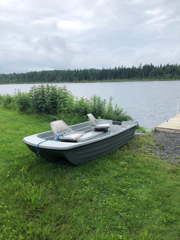 Chalet au bord d'un lac ensemencé, 4 à 6 personnes, bien équipé, très tranquille avec kayak