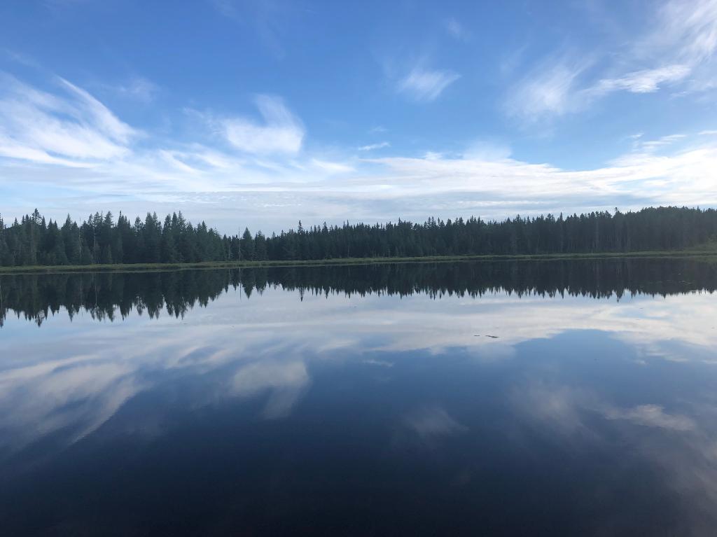Chalet au bord d'un lac ensemencé, 4 à 6 personnes, bien équipé, très tranquille avec kayak