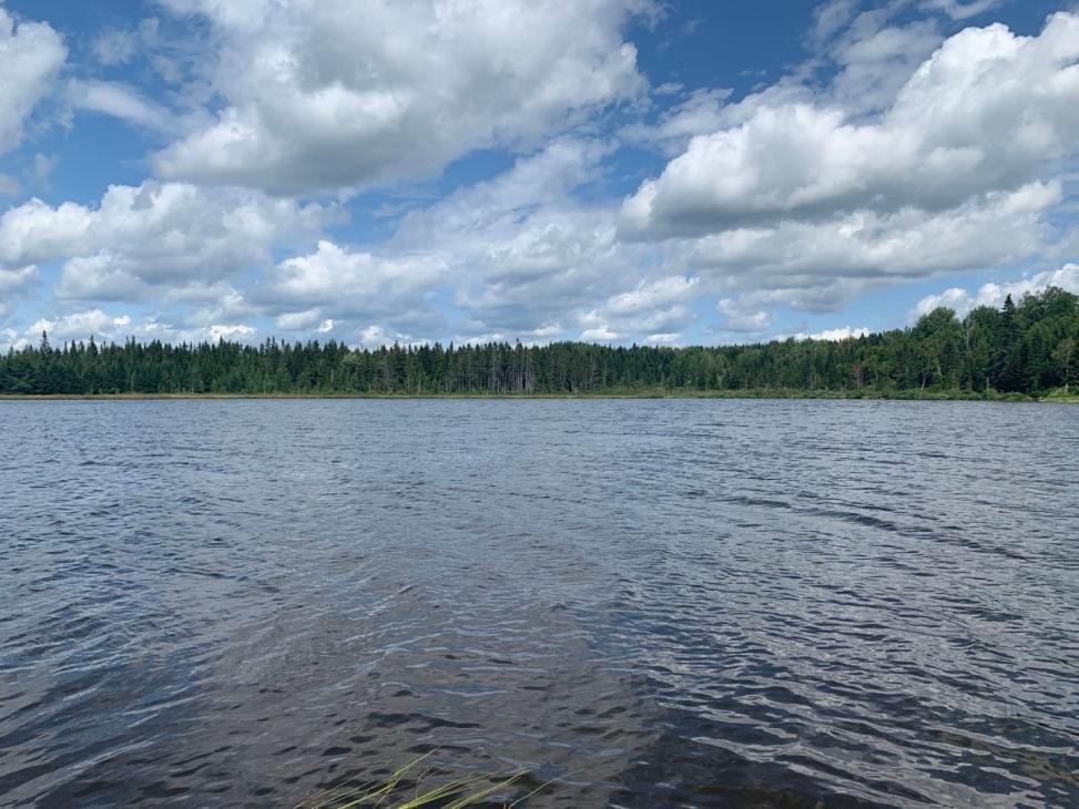 Chalet au bord d'un lac ensemencé, 4 à 6 personnes, bien équipé, très tranquille avec kayak
