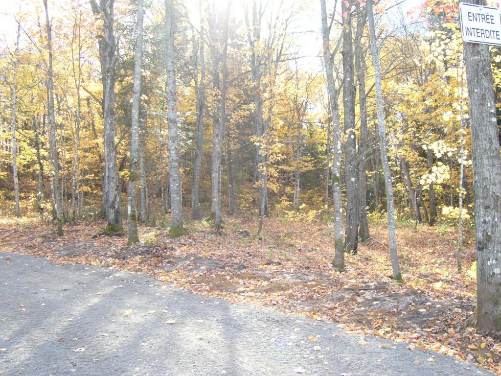 Terre, Terrain à Saint-Zénon dans Lanaudière — photo 2