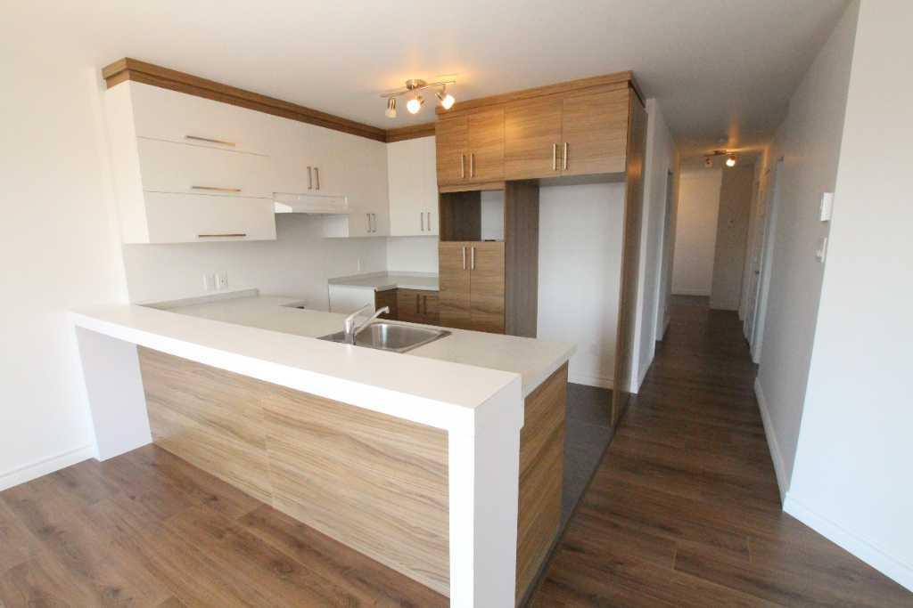 1ER MOIS GRATUIT : Logement à louer Pont-Rouge 3