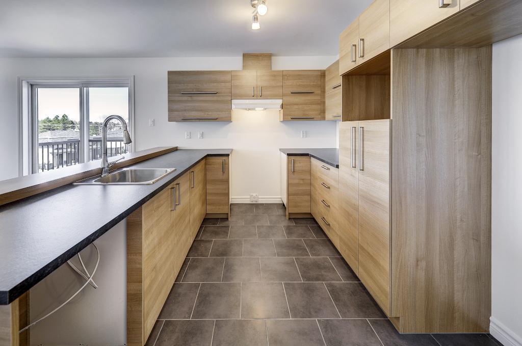 1ER MOIS GRATUIT : Logement à louer Pont-Rouge 3