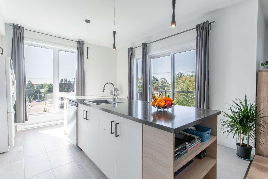 1ER MOIS GRATUIT : Logement à louer Pont-Rouge 4