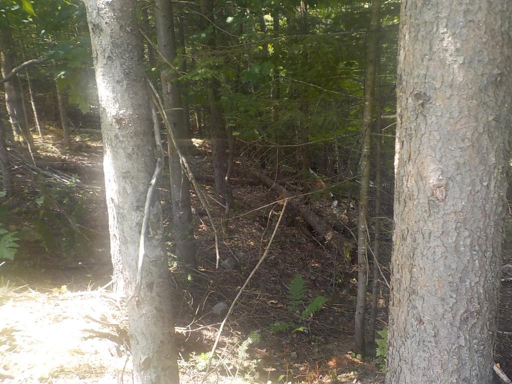Terrain Val-David — photo 3
