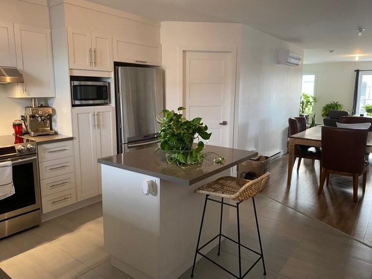5-1/2 spacieux, moderne et lumineux avec garage 4
