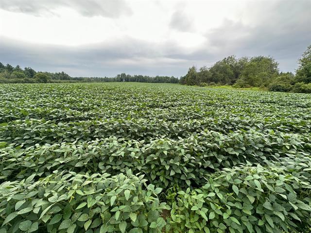 Terrain — photo 1