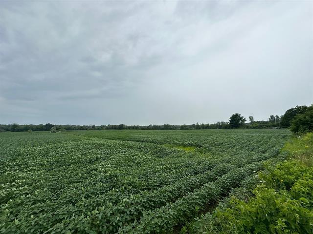 Terrain — photo 2