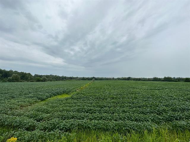 Terrain — photo 3