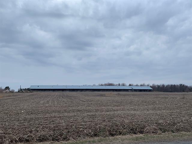 Terrain — photo 1