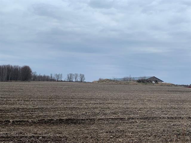 Terrain — photo 3