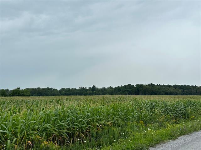 Terrain — photo 1