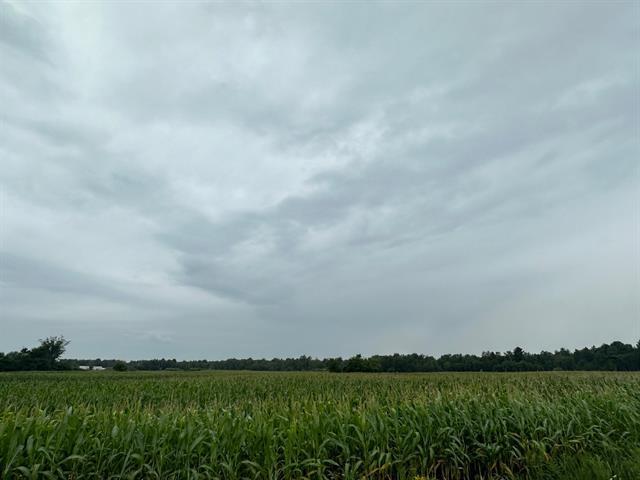 Terrain — photo 2