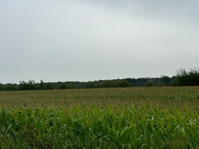 Terrain — photo 3