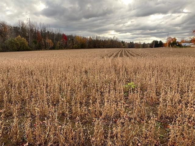 42Z Ch. Gage — photo 1