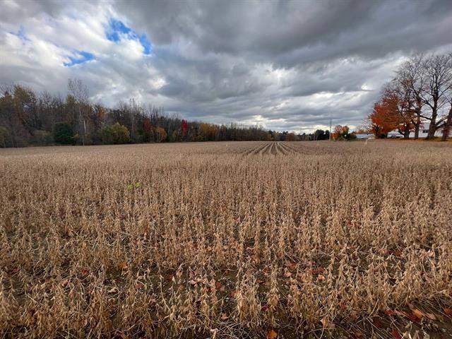 42Z Ch. Gage — photo 2
