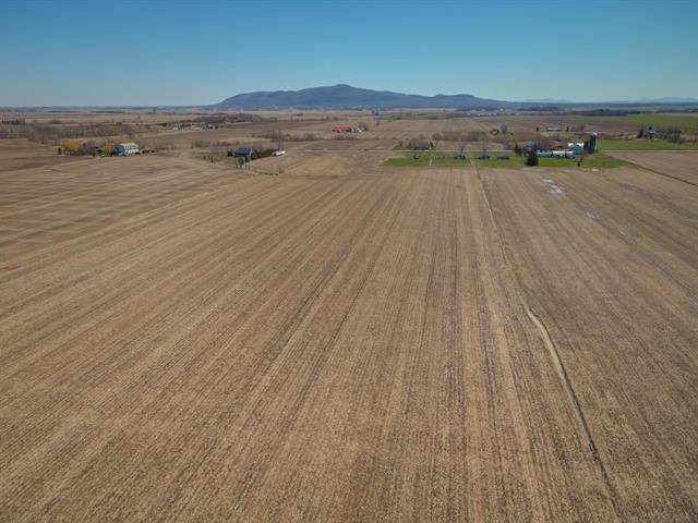 Terrain — photo 3