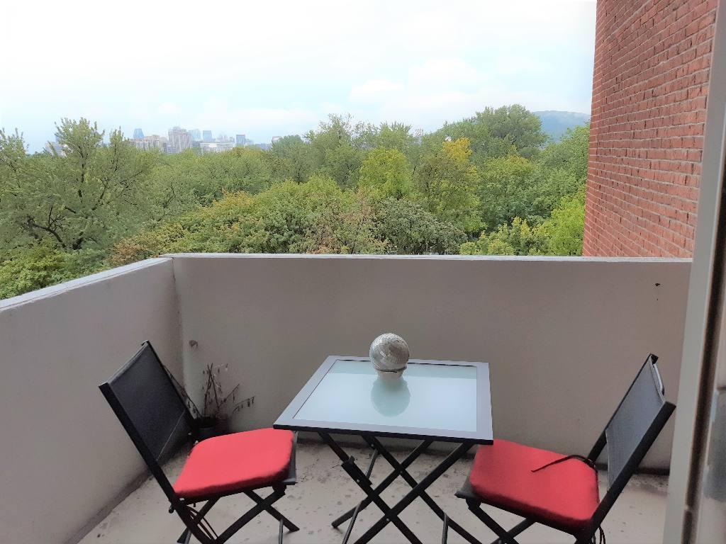 Le Plateau, condo meublé, stationnement intérieur, piscine, sauna, hammam, ascenseur, transport en commun, près de tout 4