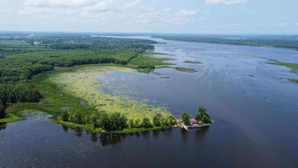 Île à vendre à Rigaud - Ile privée paradisiaque - Private Paradise Island for sale in Rigaud — photo 2