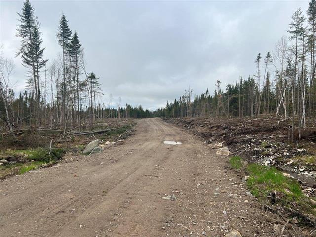 Ste-Apolline-de-Patton (Chaudière-Appalaches) : Terre à bois de 353 acres, vaste territoire de chasse, coupe de bois — photo 1