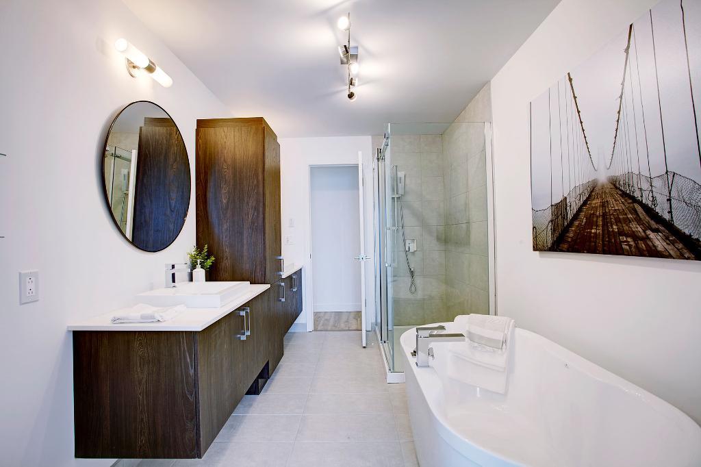 100 Rue Toe-Blake — photo 3