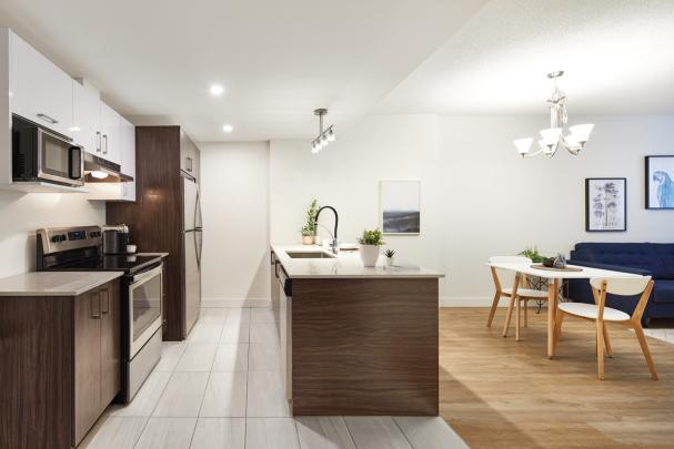 4825 Rue Paul-Pouliot — photo 2