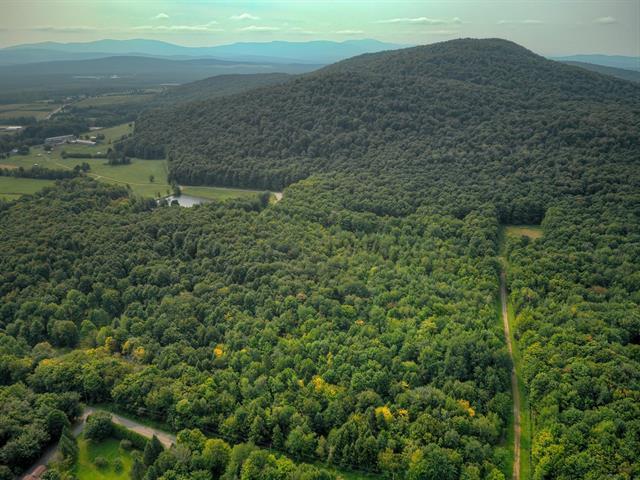 Érablière en exploitation, cabane à sucre et équipements inclus, site exceptionnel, Lac Brome près de Bromont, Estrie — photo 1