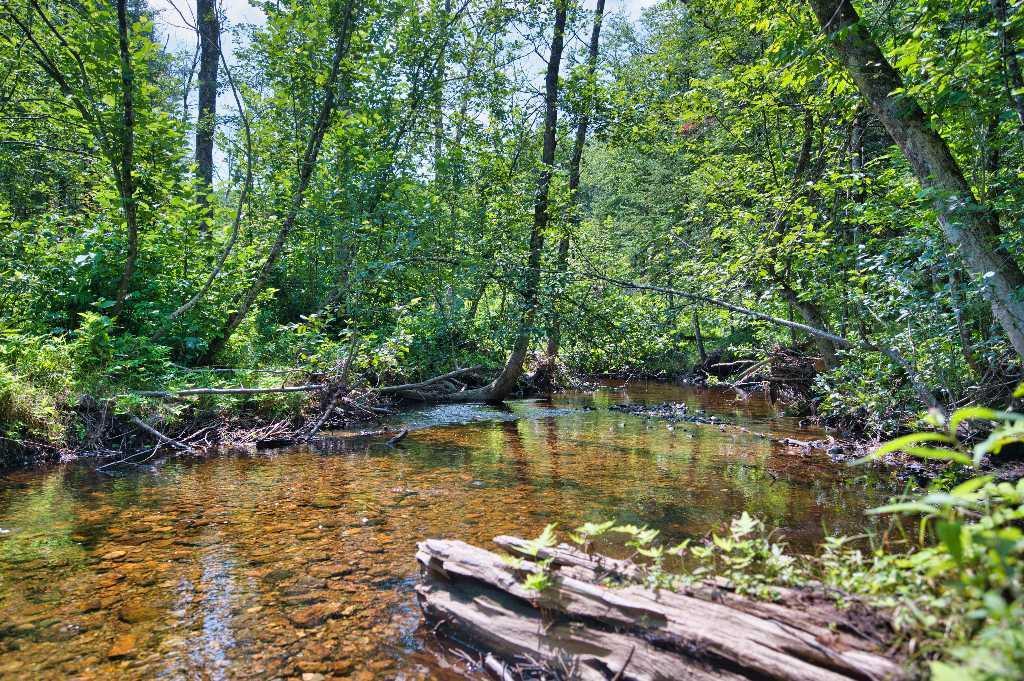 1507 Route 323, Lac-des-Plages, QC, Canada — photo 1
