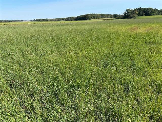 Terrain — photo 1