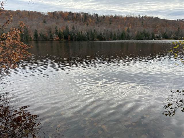 Terrain — photo 3