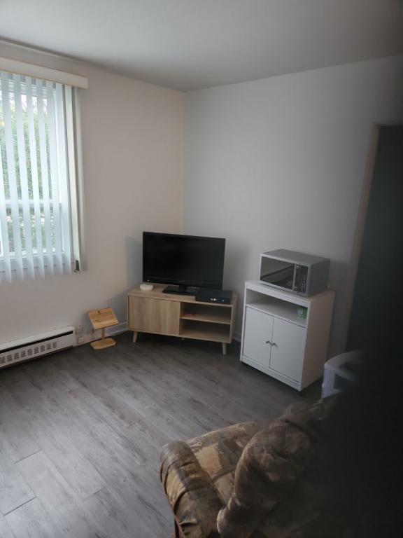 2 ET DEMI LIBRE LE 1ER FÉVRIER 2025 à louer à Alma