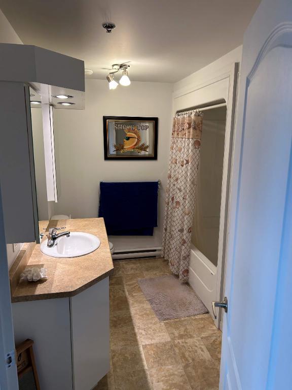17620 Av du Moulin St-Hyacinthe — photo 3