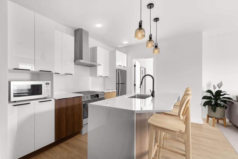 1 CH - 1 SDB - Montréal - $1,700 /mo — photo 1