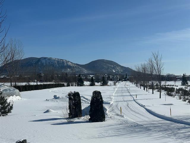 Terrain — photo 1