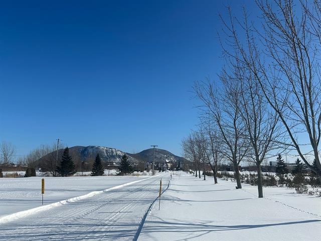 Terrain — photo 2
