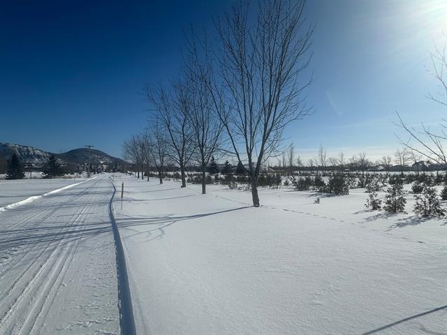 Terrain — photo 3