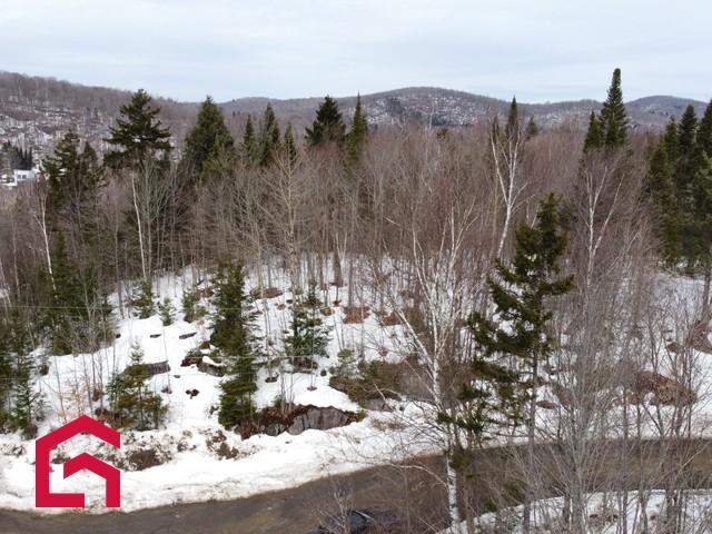 Terrain — photo 2