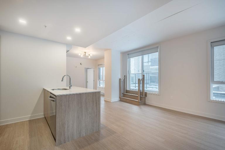 65 Rue William-MacDonald — photo 2