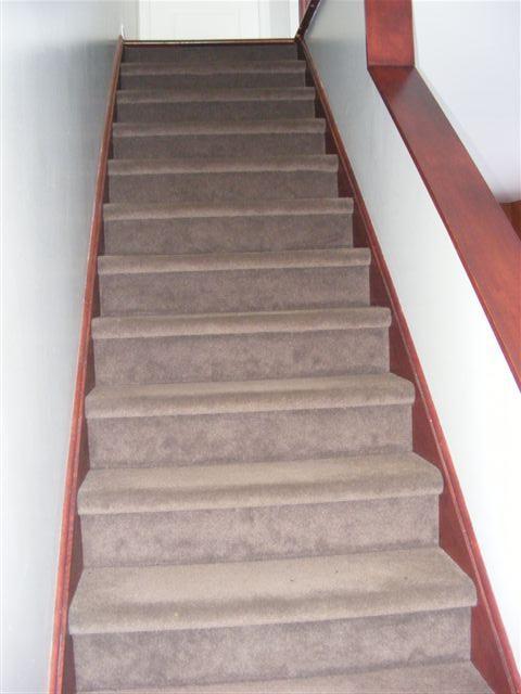 Appartement 4 1/2 luxueux 5