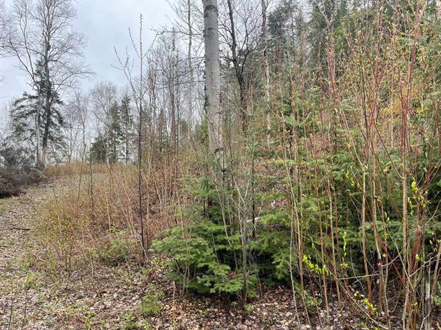 Terrain — photo 2