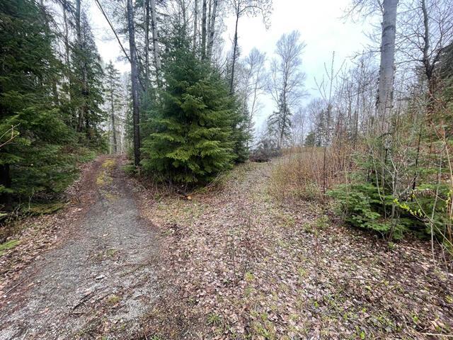 Terrain — photo 3
