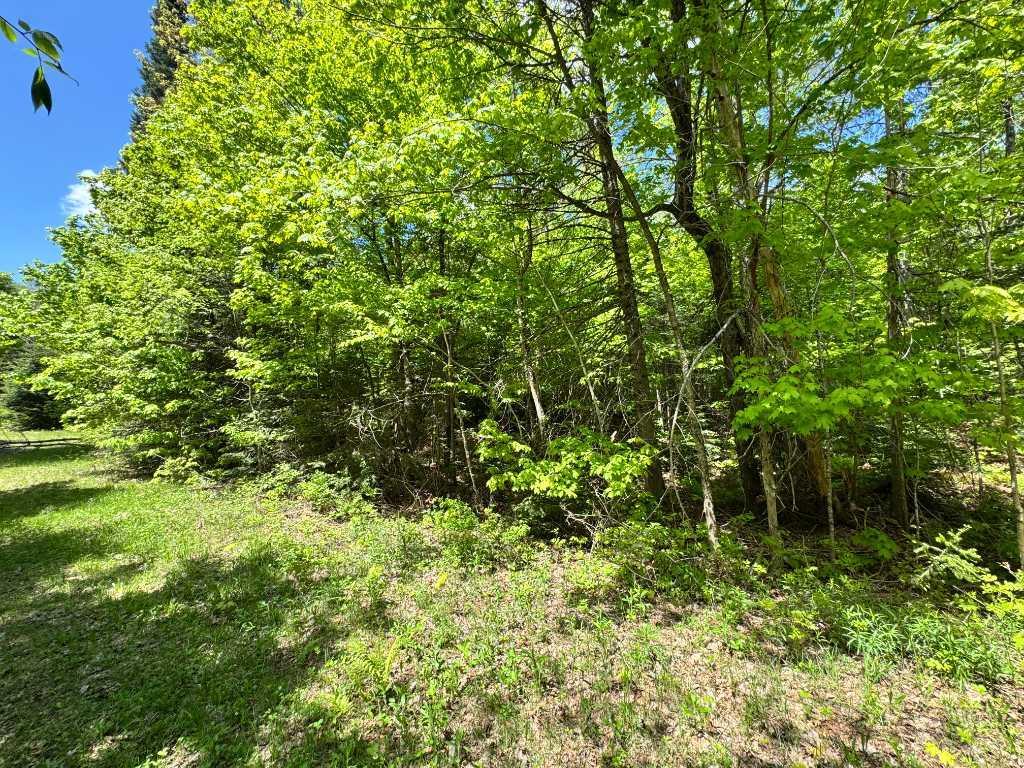201 Rue Perry, Morin-Heights, QC, Canada — photo 2