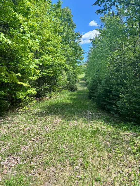 201 Rue Perry, Morin-Heights, QC, Canada — photo 3