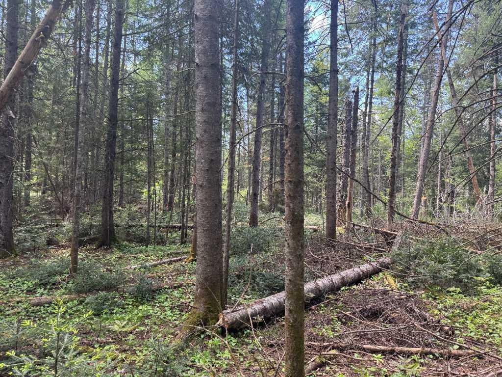 33 Chemin de Salzbourg, Morin-Heights, QC, Canada — photo 2