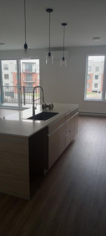 1900 Rue du Chanoine Chamberland — photo 2