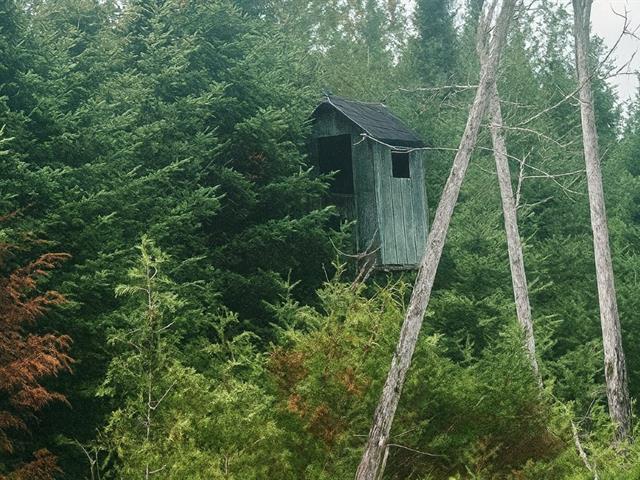 Milan (Estrie) : Terre pour la chasse — photo 3