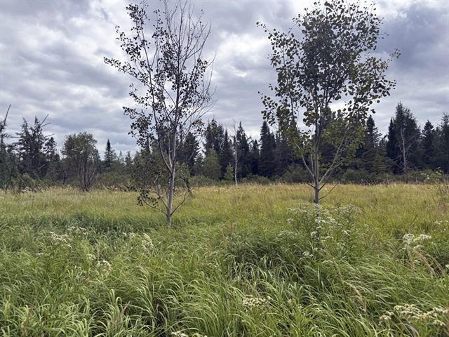 Ste-Praxède, Chaudière-Appalaches. Grand terrain de 46 450 pi.ca. en zonage BLANC, route asphaltée devant, venez y construire votre projet! — photo 3