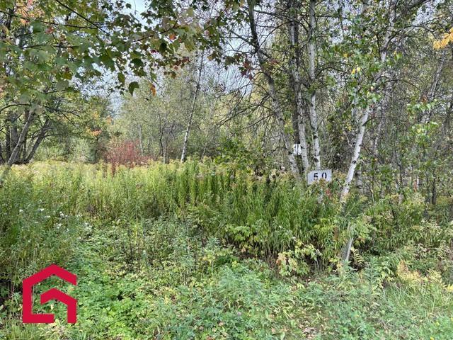 50 Ch. du Lac-à-la-Truite — photo 1