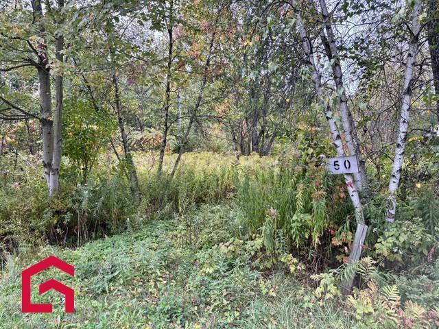 50 Ch. du Lac-à-la-Truite — photo 2
