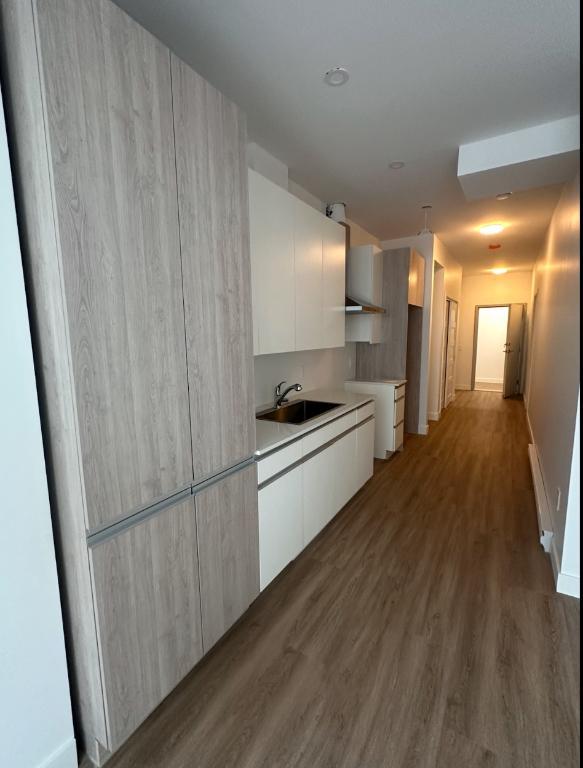 1955 Rue du Chanoine Chamberland — photo 1