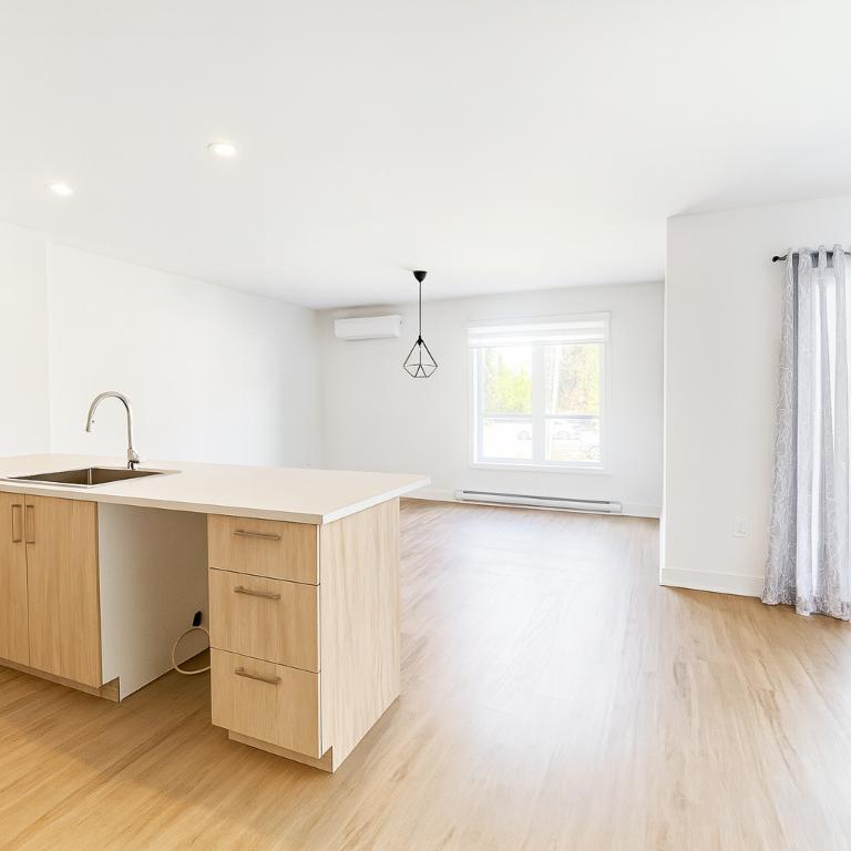 1027 Rue de la Visitation — photo 2